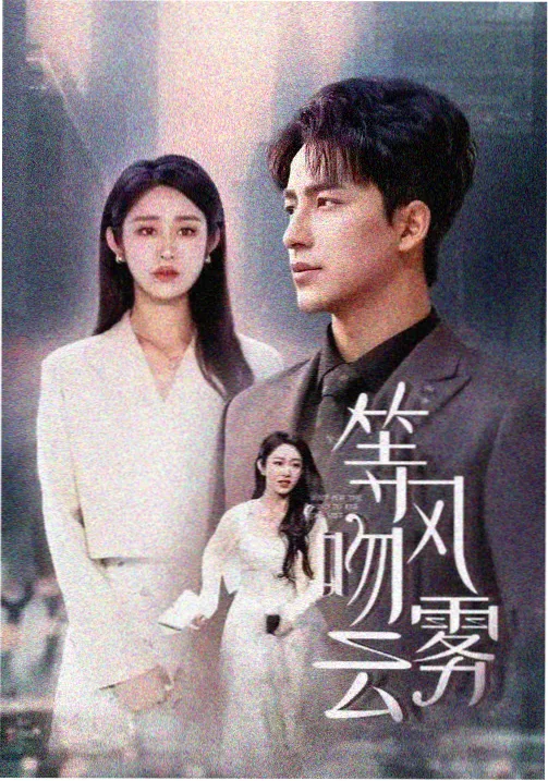 美剧看看曼哈顿律所海报